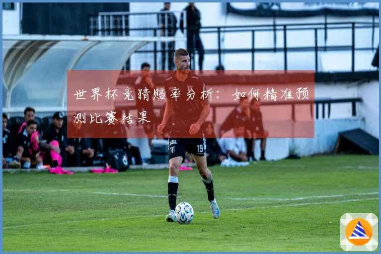 世界杯竞猜赔率分析：如何精准预测比赛结果