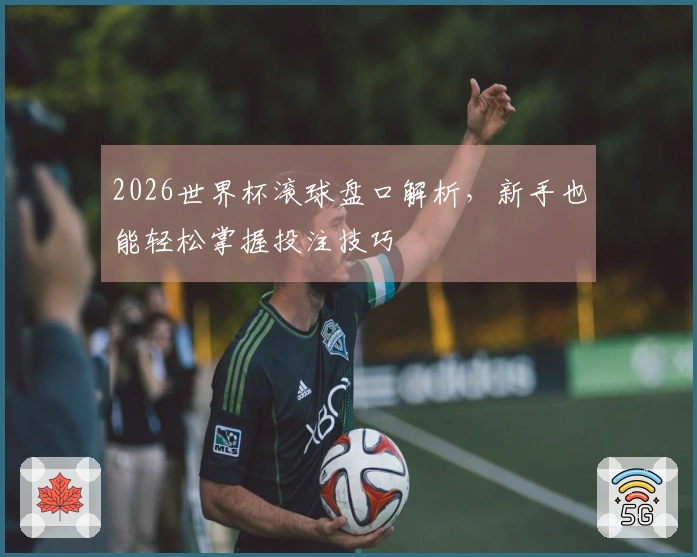 2026世界杯滚球盘口解析，新手也能轻松掌握投注技巧