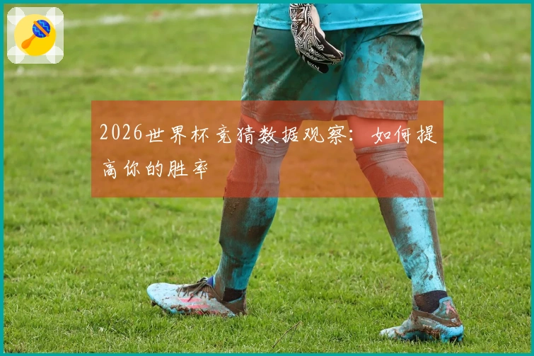 2026世界杯竞猜数据观察：如何提高你的胜率