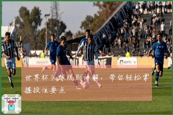 世界杯买球规则详解，带你轻松掌握投注要点