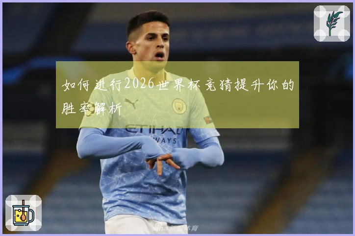 如何进行2026世界杯竞猜提升你的胜率解析