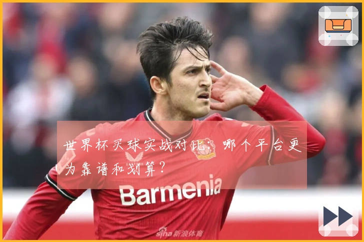 世界杯买球实战对比：哪个平台更为靠谱和划算？